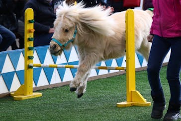 ノーザンホースパークに投稿された画像（2024/1/1）