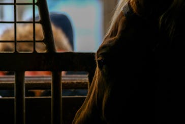 ノーザンホースパークに投稿された画像（2024/1/1）