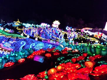 伊豆ぐらんぱる公園に投稿された画像（2024/1/1）