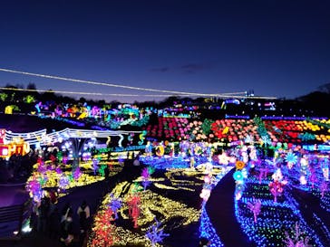 伊豆ぐらんぱる公園に投稿された画像（2024/1/1）