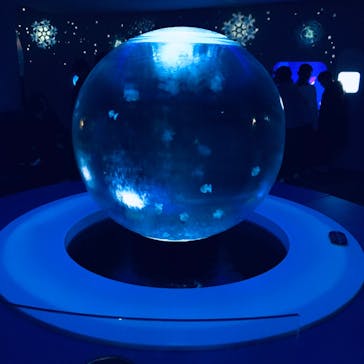 新江ノ島水族館に投稿された画像（2024/1/1）