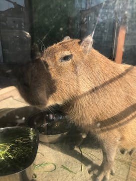 新江ノ島水族館に投稿された画像（2024/1/1）