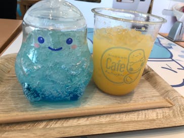 新江ノ島水族館に投稿された画像（2024/1/1）