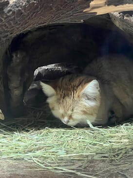 那須どうぶつ王国に投稿された画像（2024/1/1）