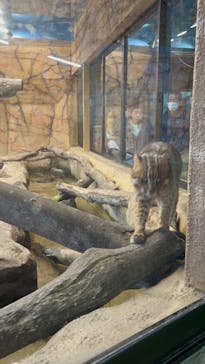 那須どうぶつ王国に投稿された画像（2024/1/1）