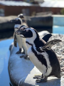 那須どうぶつ王国に投稿された画像（2024/1/1）