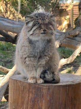 那須どうぶつ王国に投稿された画像（2024/1/1）