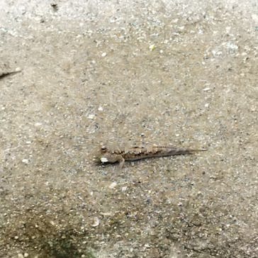 アクアワールド茨城県大洗水族館に投稿された画像（2024/1/1）