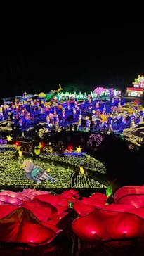 伊豆ぐらんぱる公園に投稿された画像（2024/1/1）