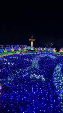 伊豆ぐらんぱる公園に投稿された画像（2024/1/1）