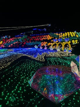 伊豆ぐらんぱる公園に投稿された画像（2024/1/1）