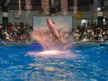 マクセル アクアパーク品川に投稿された画像（2024/1/1）