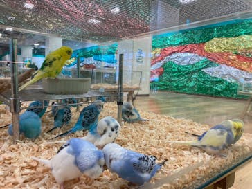 いきもの探検隊湘南に投稿された画像（2024/1/1）