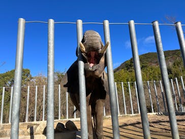 しろとり動物園に投稿された画像（2024/1/1）