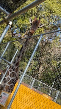 しろとり動物園に投稿された画像（2024/1/1）