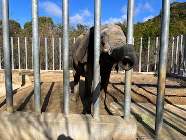 しろとり動物園に投稿された画像（2024/1/1）