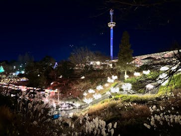 西武園ゆうえんちに投稿された画像（2024/1/1）