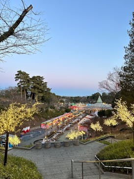 西武園ゆうえんちに投稿された画像（2024/1/1）