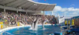 仙台うみの杜水族館に投稿された画像（2024/1/1）