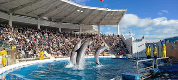 仙台うみの杜水族館に投稿された画像（2024/1/1）