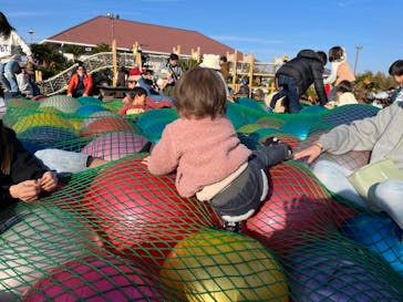 伊豆ぐらんぱる公園に投稿された画像（2024/1/1）