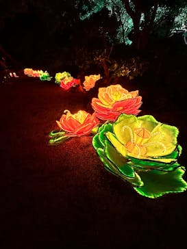 体験王国 むら咲むらに投稿された画像（2024/1/1）