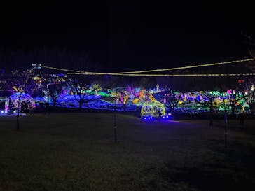 伊豆ぐらんぱる公園に投稿された画像（2024/1/1）