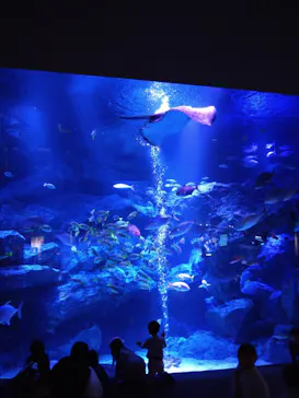 すみだ水族館に投稿された画像（2024/1/1）