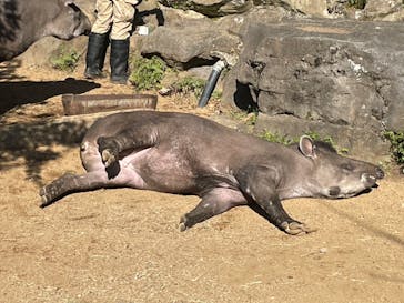伊豆シャボテン動物公園に投稿された画像（2024/1/1）