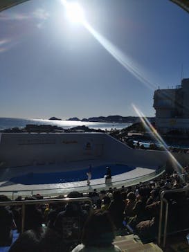 鴨川シーワールドに投稿された画像（2024/1/1）