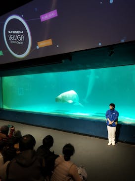 鴨川シーワールドに投稿された画像（2024/1/1）