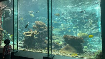 串本海中公園水族館に投稿された画像（2024/1/1）