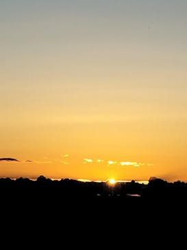 サンシャイン60展望台に投稿された画像（2024/1/1）