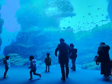 仙台うみの杜水族館に投稿された画像（2024/1/1）