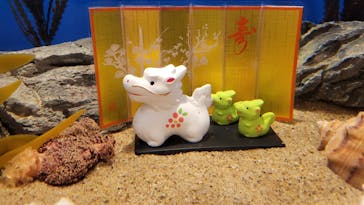 しながわ水族館に投稿された画像（2024/1/1）