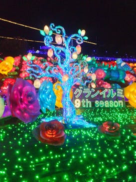 伊豆ぐらんぱる公園に投稿された画像（2024/1/1）