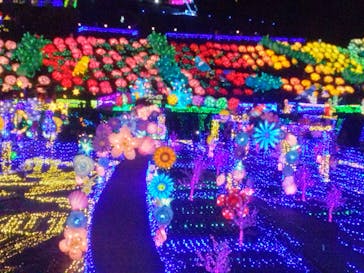 伊豆ぐらんぱる公園に投稿された画像（2024/1/1）