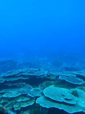 串本海中公園水族館に投稿された画像（2024/1/1）