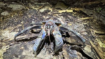 宮古島マリン SUGAR3（シュガースリー）に投稿された画像（2024/1/2）