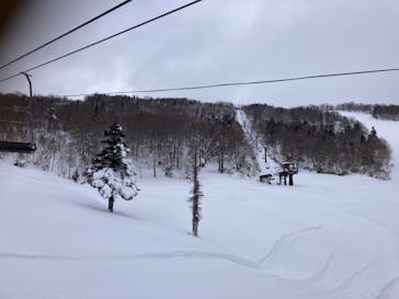 網張温泉スキー場に投稿された画像（2024/1/2）