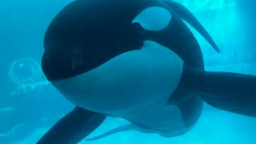 名古屋港水族館に投稿された画像（2024/1/2）