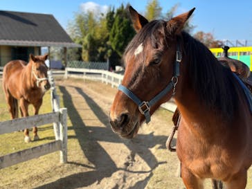 淡路ファームパーク イングランドの丘に投稿された画像（2024/1/2）