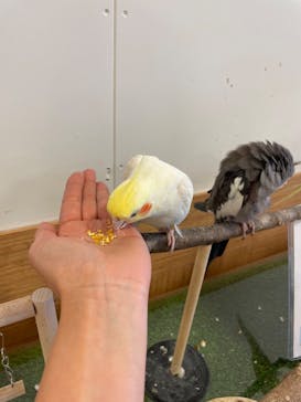 Moff animal world BIGHOPガーデンモール印西店に投稿された画像（2024/1/2）