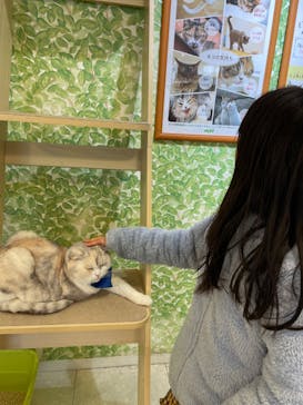 Moff animal world BIGHOPガーデンモール印西店に投稿された画像（2024/1/2）