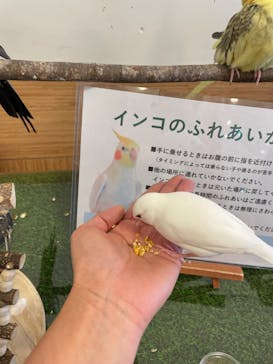 Moff animal world BIGHOPガーデンモール印西店に投稿された画像（2024/1/2）