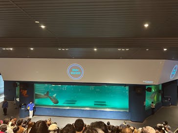 鴨川シーワールドに投稿された画像（2024/1/2）