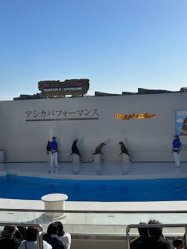 鴨川シーワールドに投稿された画像（2024/1/2）