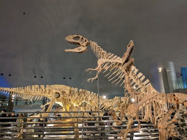 福井県立恐竜博物館に投稿された画像（2024/1/2）