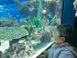 サンシャイン水族館に投稿された画像（2024/1/2）