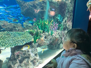 サンシャイン水族館に投稿された画像（2024/1/2）
